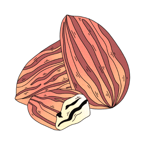 ROCCÁ - The New Age Chocolate – Rocca - The New Age Chocolate